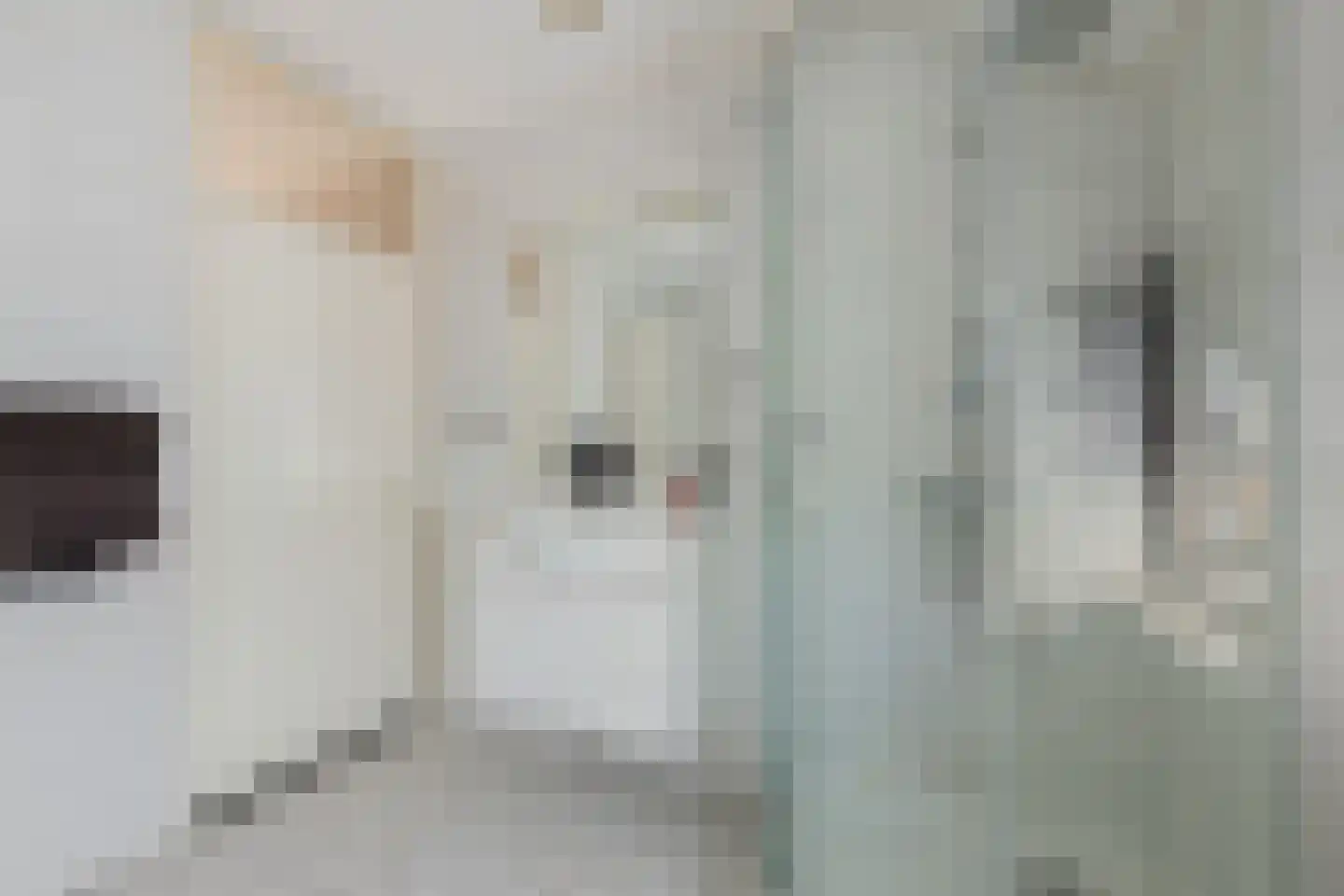 Pottenbakkersstraat 35 Veendam thumbnail 30
