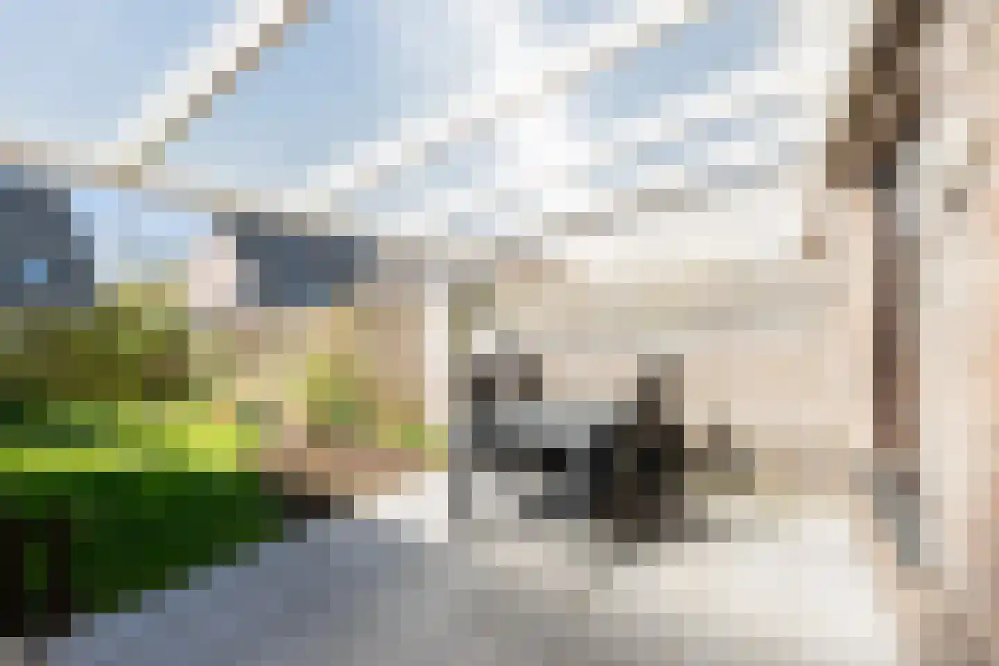 Pottenbakkersstraat 35 Veendam thumbnail 4