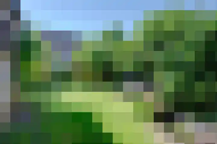Pottenbakkersstraat 35 Veendam thumbnail 9