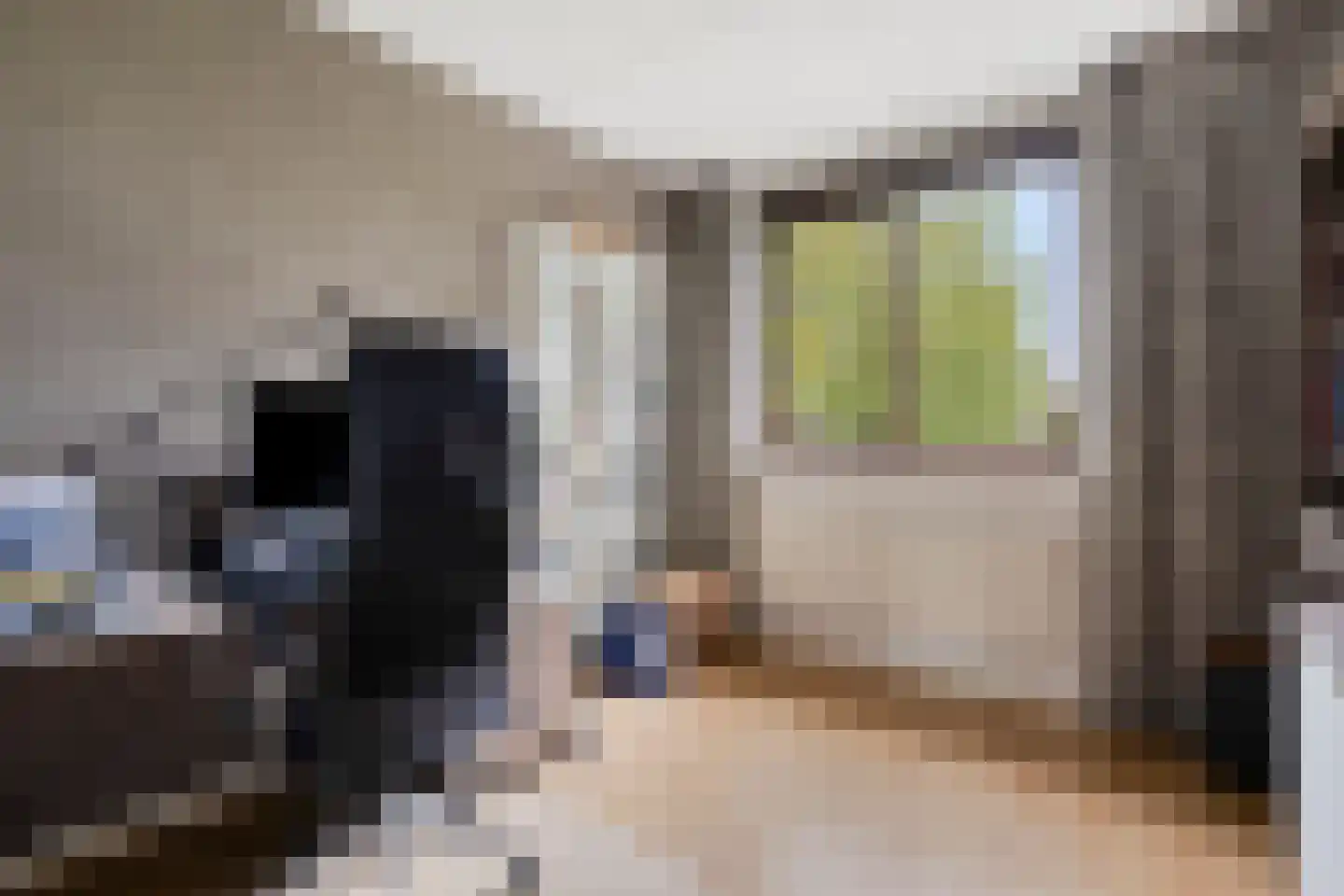 Pottenbakkersstraat 41 Veendam thumbnail 25