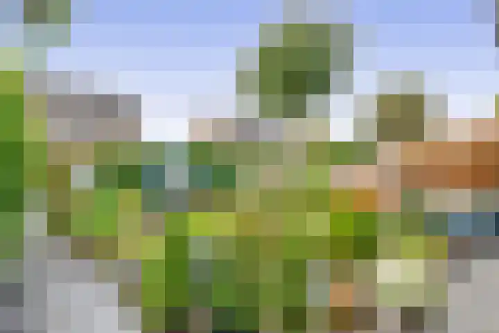 Pottenbakkersstraat 57 Veendam thumbnail 13