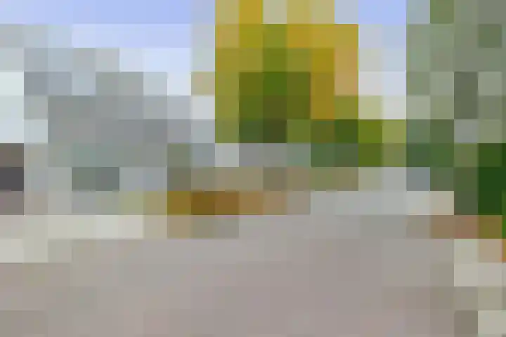 Pottenbakkersstraat 57 Veendam thumbnail 30