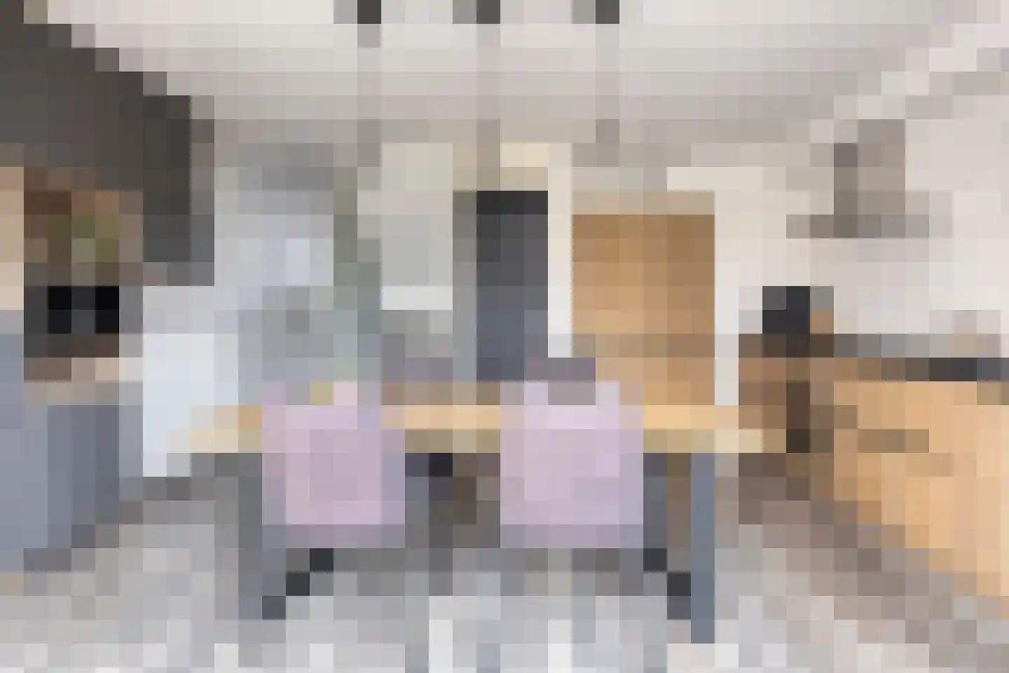 Pottenbakkerstraat 121 Zwolle thumbnail 11