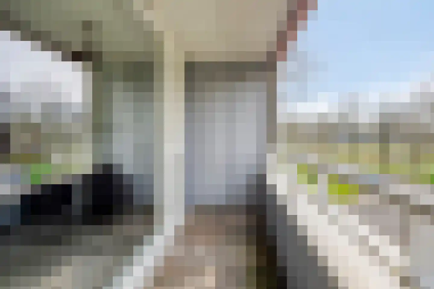 Pottenbakkerstraat 121 Zwolle thumbnail 17