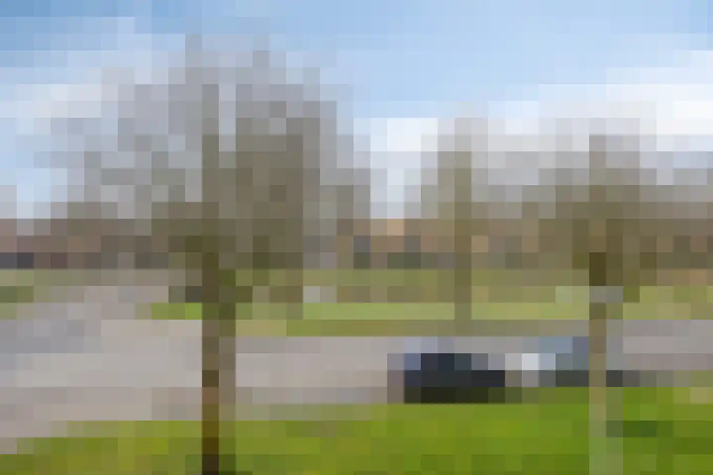 Pottenbakkerstraat 121 Zwolle thumbnail 19