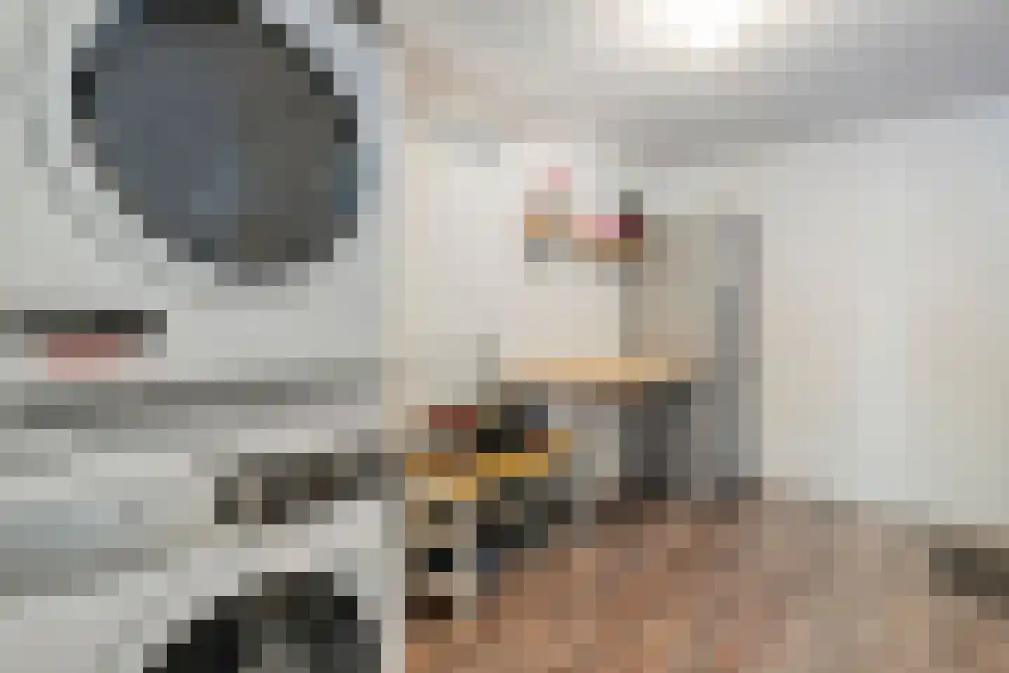 Pottenbakkerstraat 127 Zwolle thumbnail 18