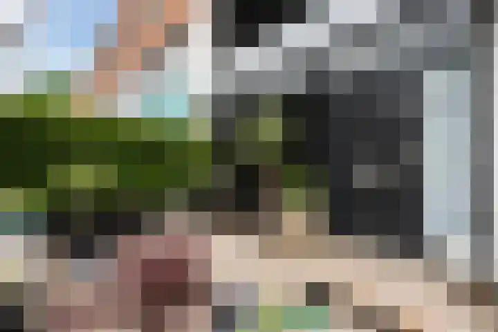 Pottenbakkerstraat 141 Zwolle thumbnail 4