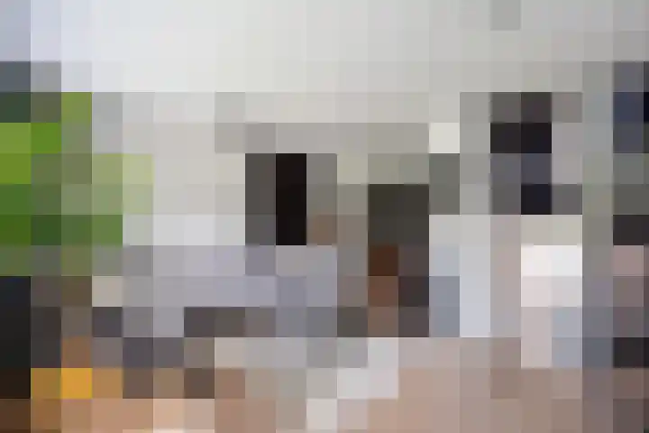 Pottenbakkerstraat 141 Zwolle thumbnail 9