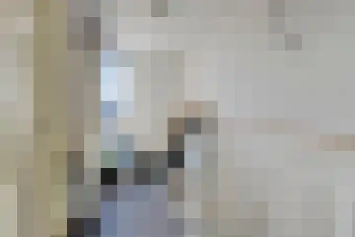 Pottenbakkerstraat 24 Purmerend thumbnail 18