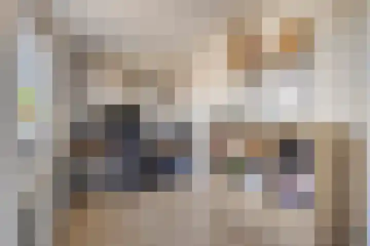 Pottenbakkerstraat 24 Purmerend thumbnail 20