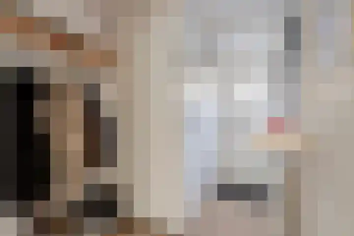 Pottenbakkerstraat 24 Purmerend thumbnail 4