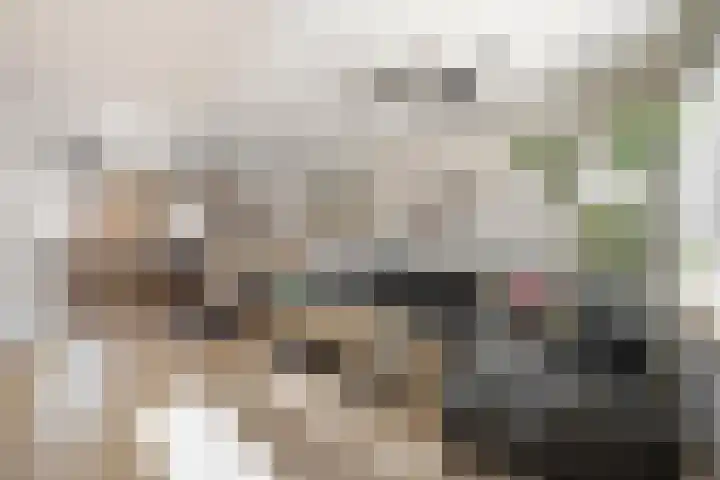 Pottenbakkerstraat 24 Purmerend thumbnail 6