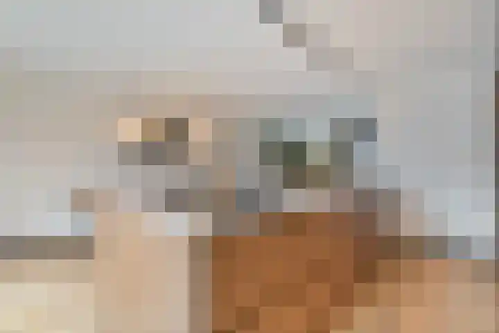 Pottenbakkerstraat 33 Zwolle thumbnail 11