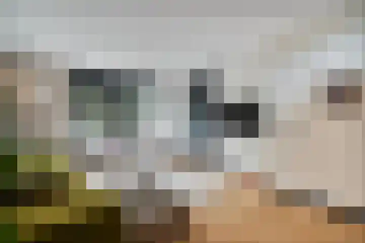 Pottenbakkerstraat 33 Zwolle thumbnail 6