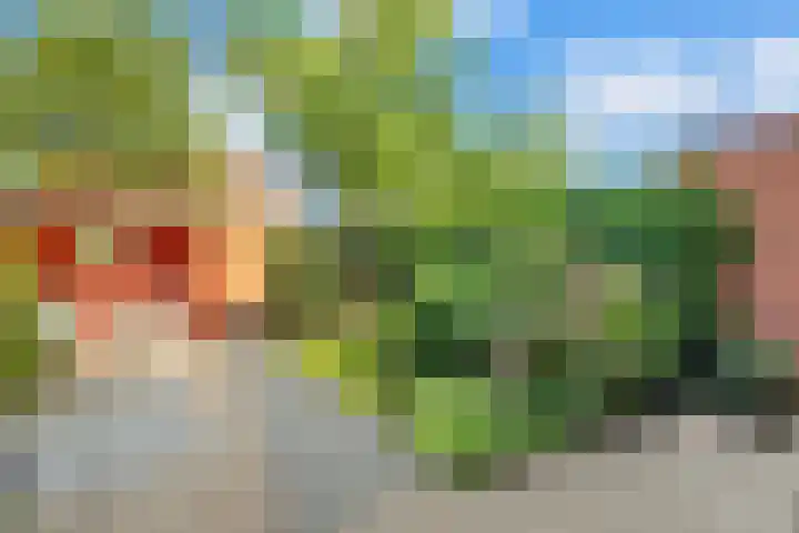 Pottenbakkerstraat 37 Zwolle thumbnail 30