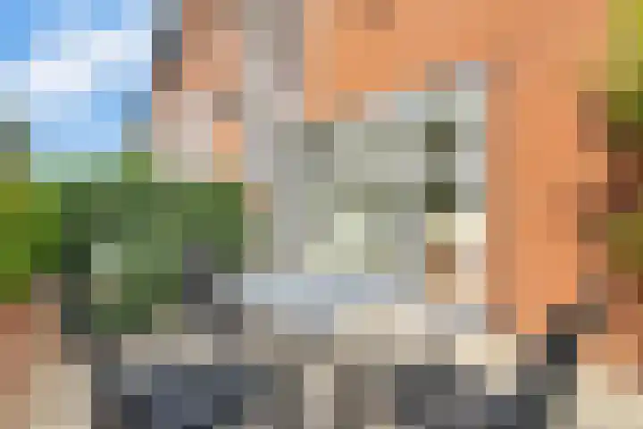 Pottenbakkerstraat 37 Zwolle thumbnail 31