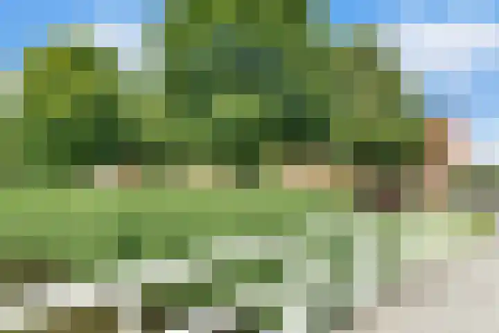 Pottenbakkerstraat 37 Zwolle thumbnail 37