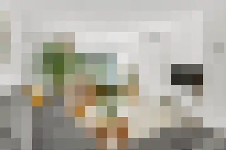 Pottenbakkerstraat 37 Zwolle thumbnail 7