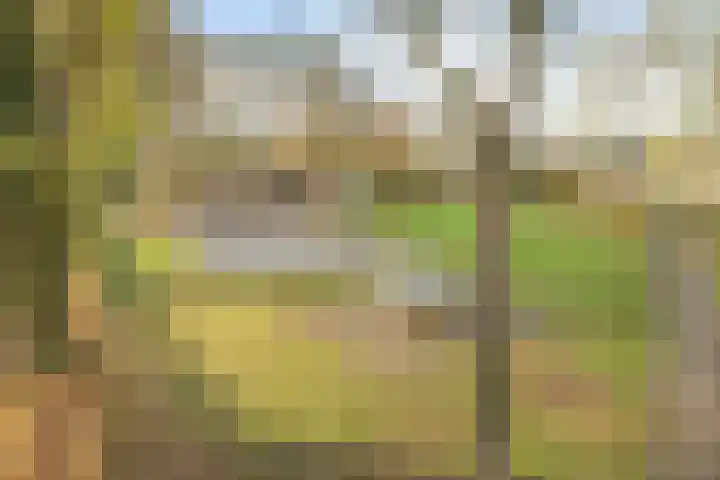 Pottenbakkerstraat 45 Breda thumbnail 36