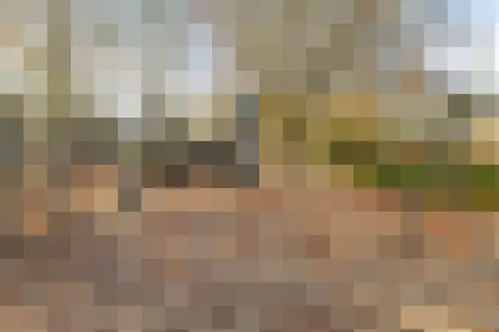Pottenbakkerstraat 45 Breda thumbnail 37