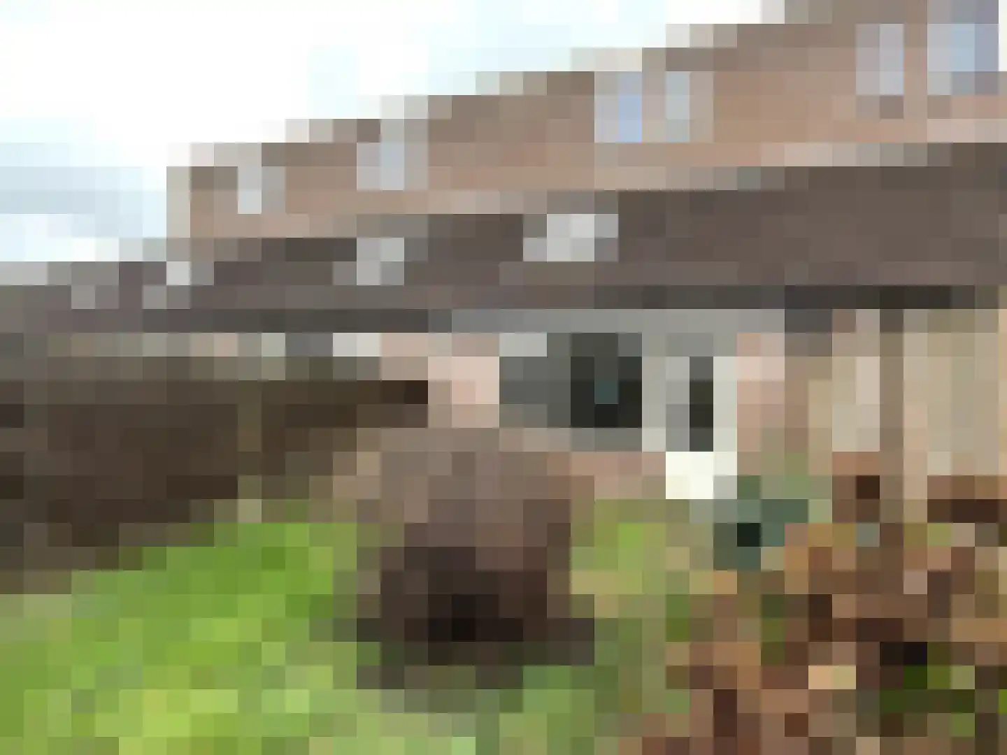 Pottenbakkerstraat 53 Purmerend thumbnail 11