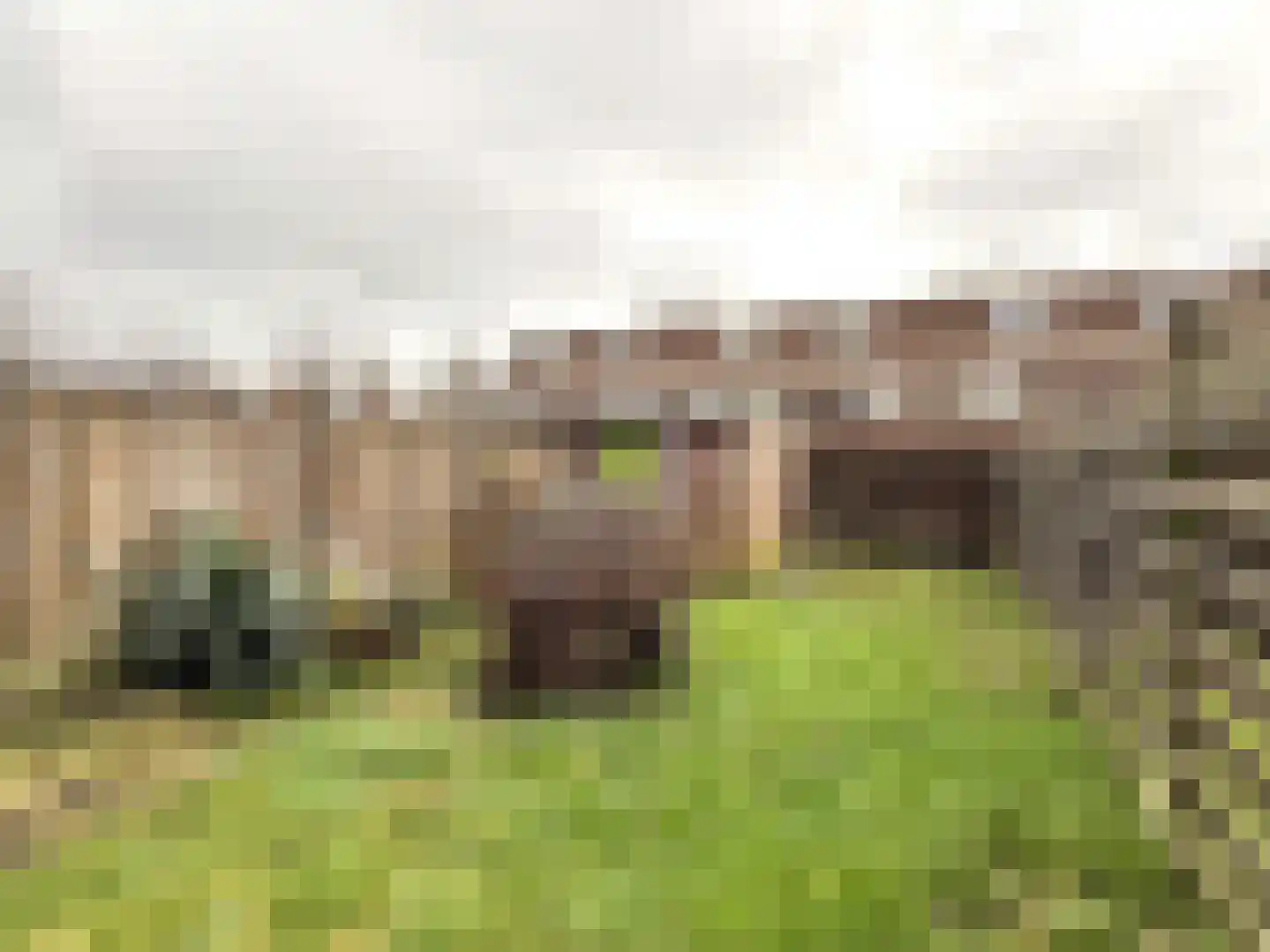 Pottenbakkerstraat 53 Purmerend thumbnail 13