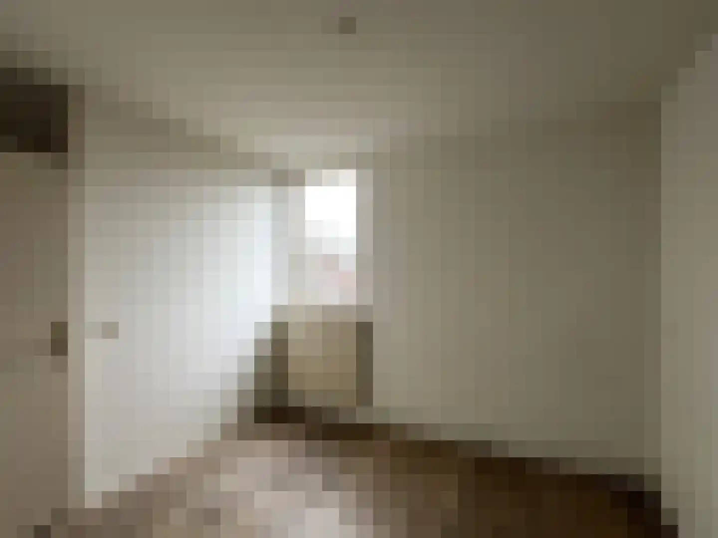 Pottenbakkerstraat 53 Purmerend thumbnail 22