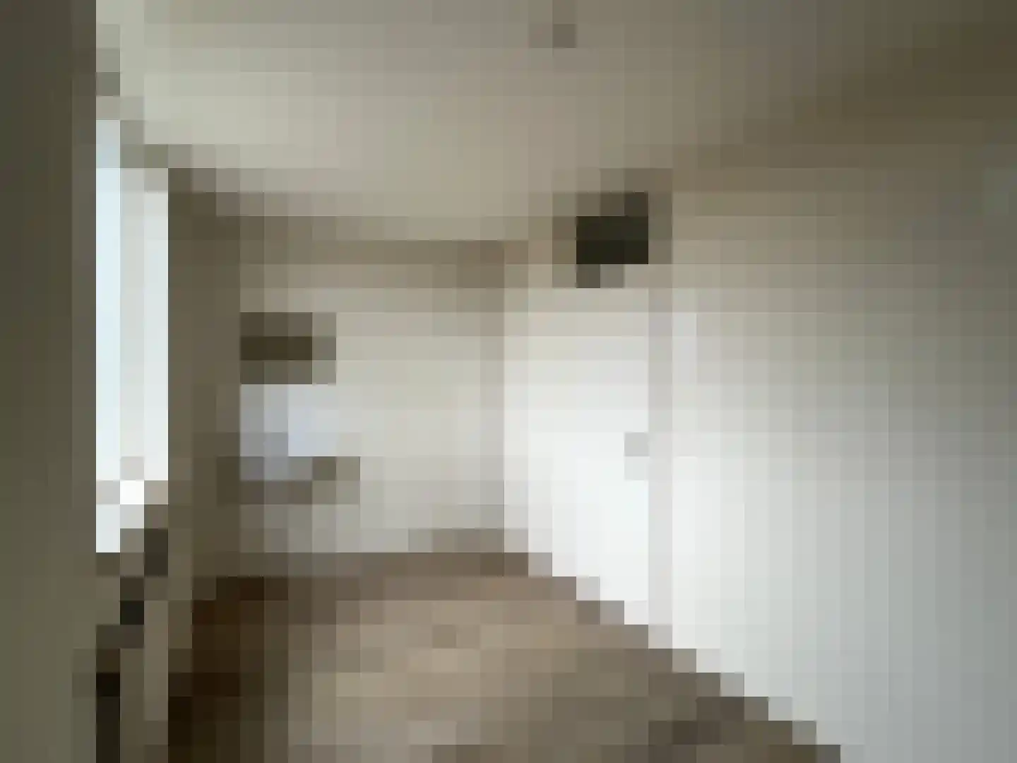 Pottenbakkerstraat 53 Purmerend thumbnail 24