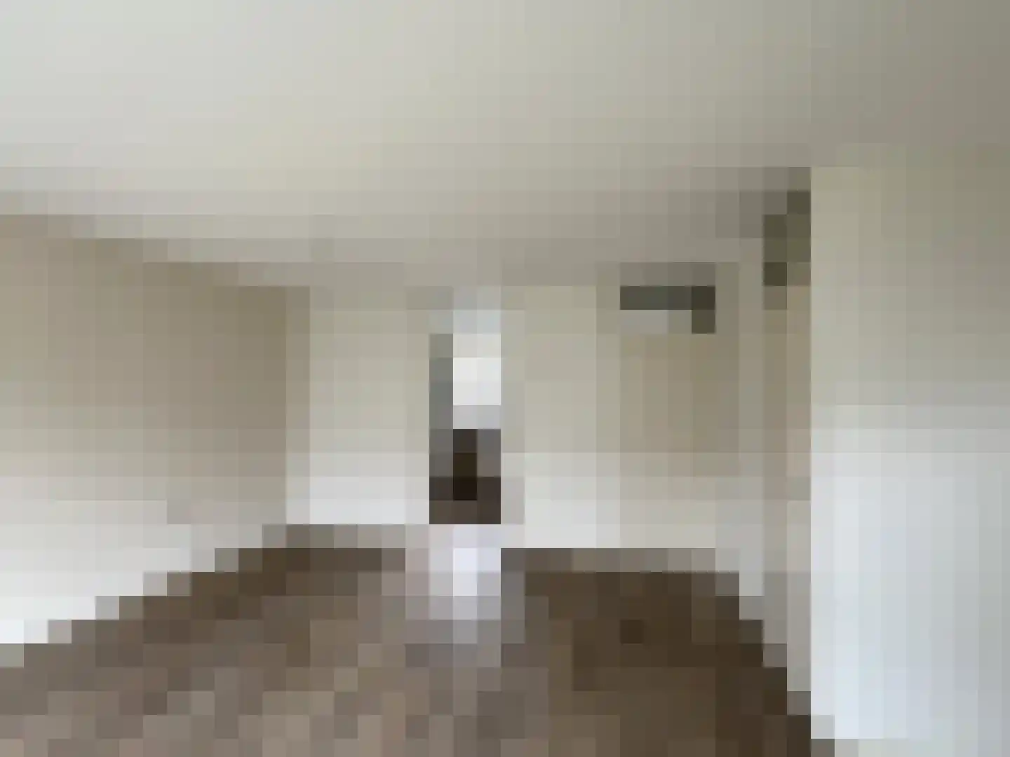 Pottenbakkerstraat 53 Purmerend thumbnail 6