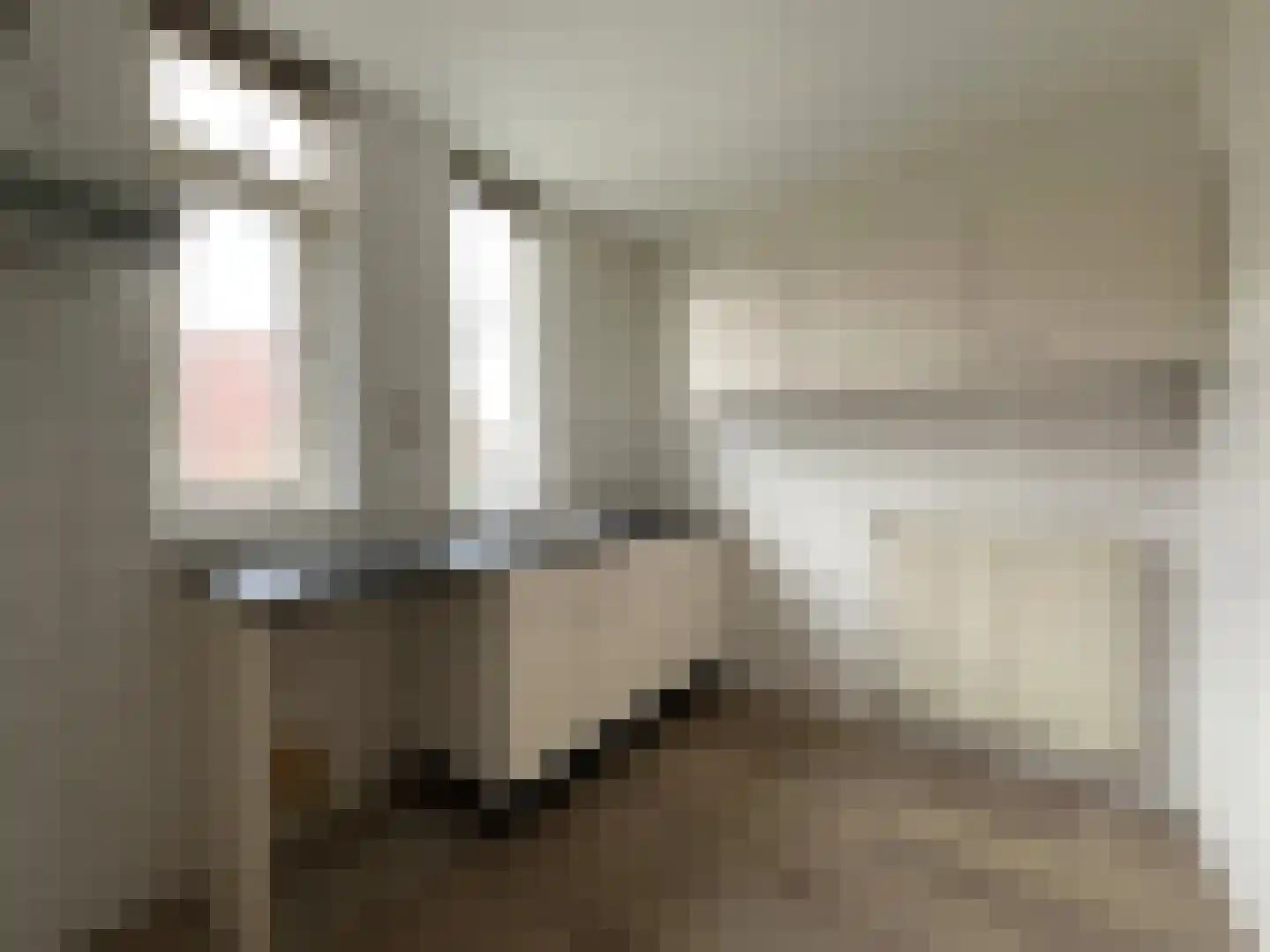 Pottenbakkerstraat 53 Purmerend thumbnail 7