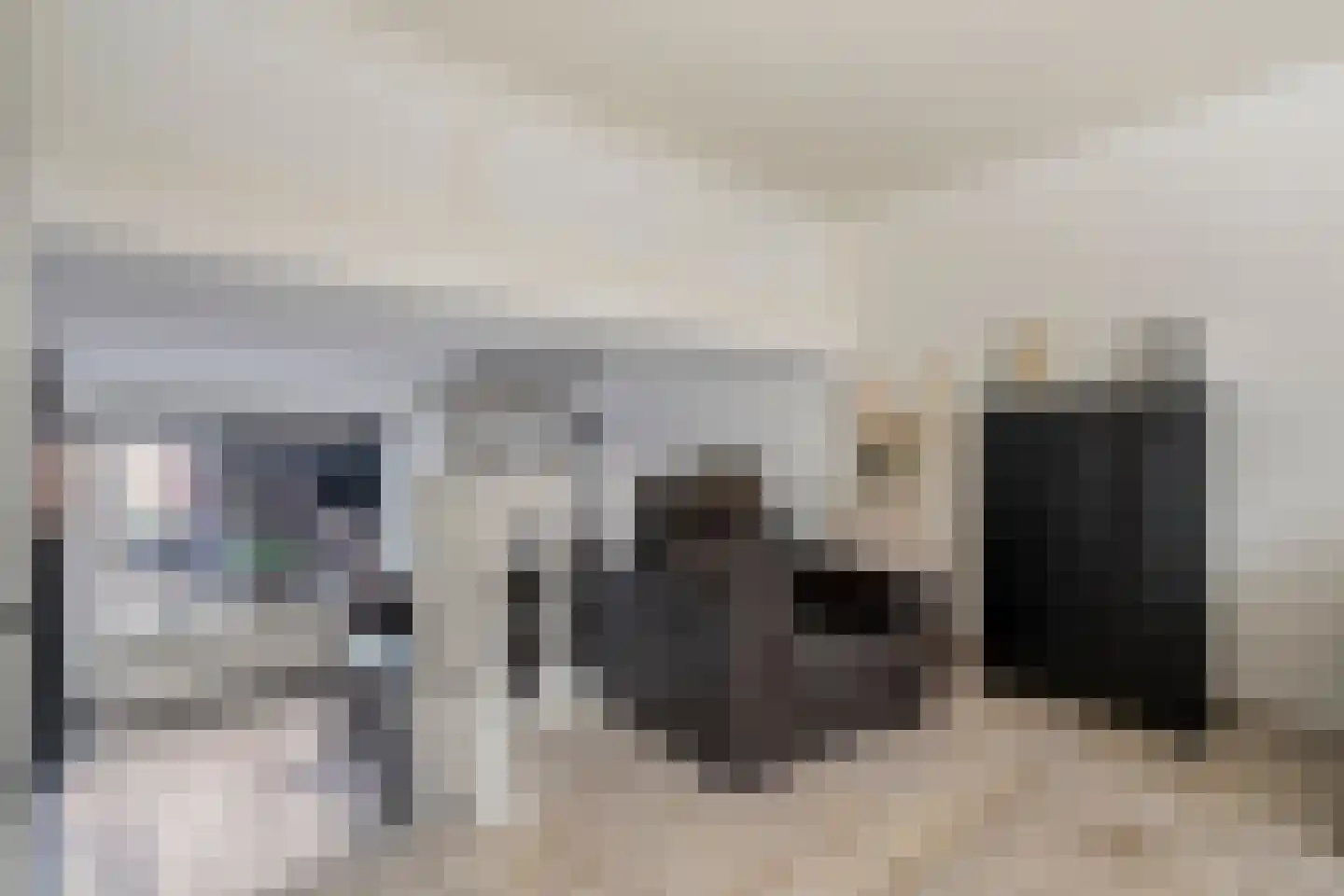 Pottenbakkerstraat 7 Zwolle thumbnail 14