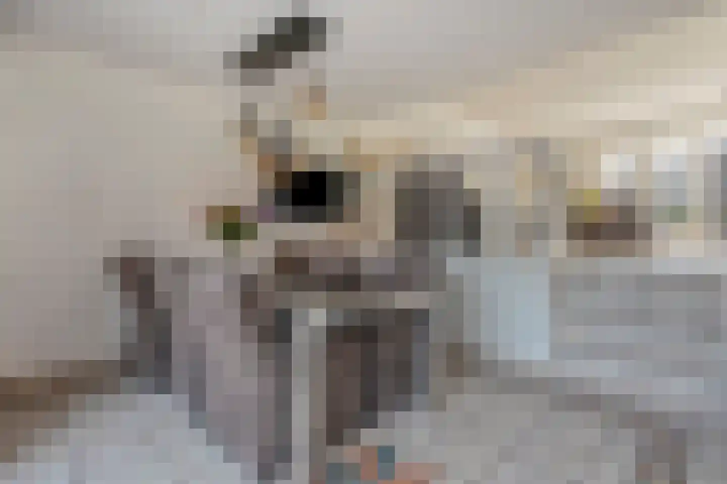 Pottenbakkerstraat 7 Zwolle thumbnail 16