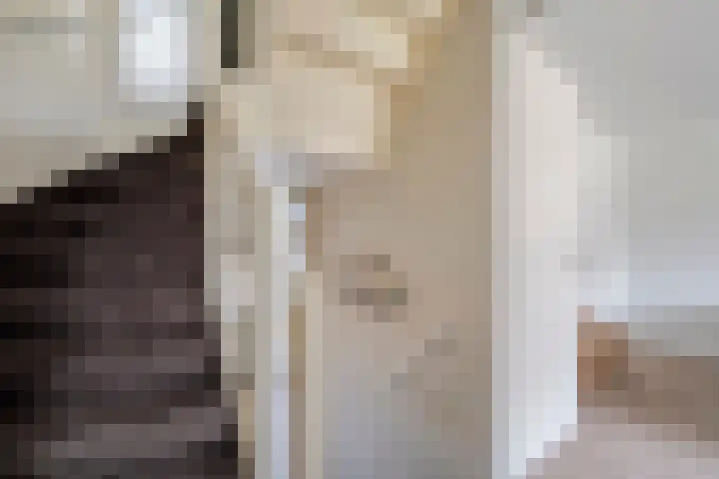 Pottenbakkerstraat 7 Zwolle thumbnail 30