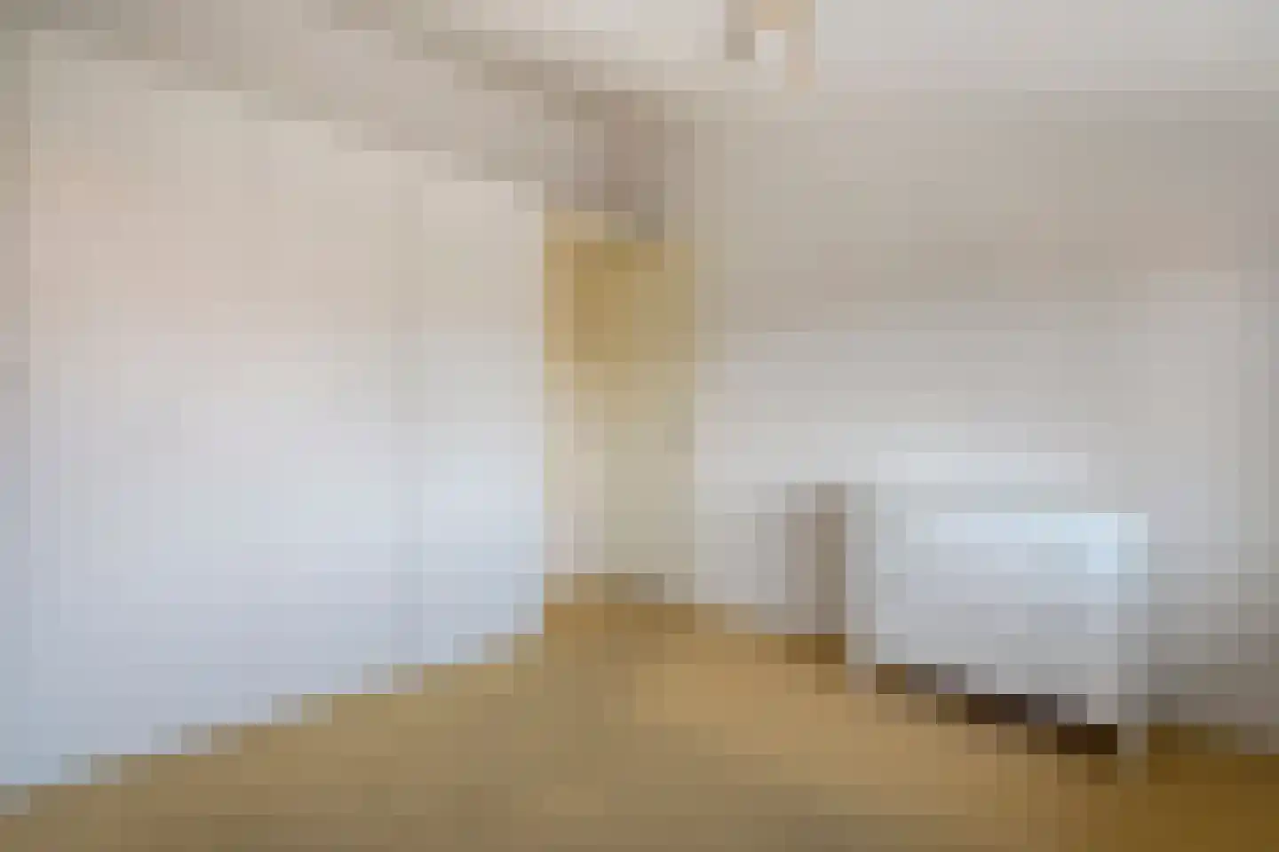 Pottenbakkerstraat 7 Zwolle thumbnail 35