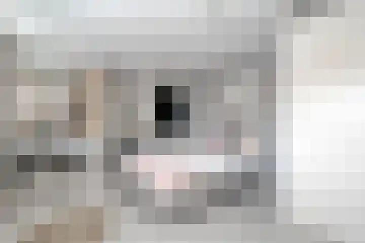 Pottenbakkerstraat 77 Zwolle thumbnail 13