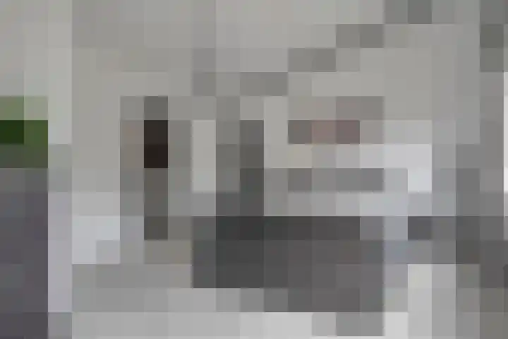 Pottenbakkerstraat 77 Zwolle thumbnail 21