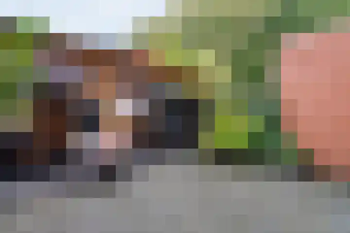 Pottenbakkerstraat 77 Zwolle thumbnail 26
