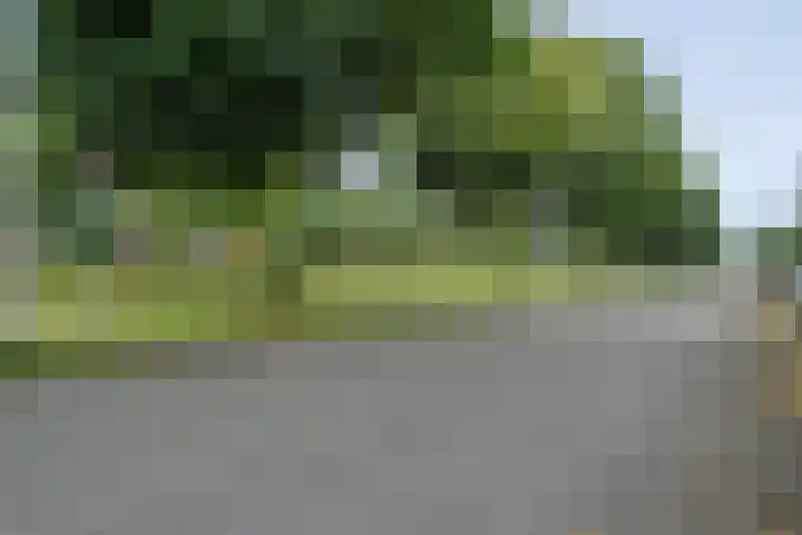 Pottenbakkerstraat 77 Zwolle thumbnail 32