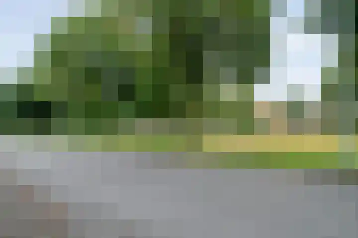 Pottenbakkerstraat 77 Zwolle thumbnail 33