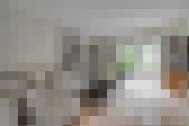 Pottenbakkerstraat 77 Zwolle thumbnail 4