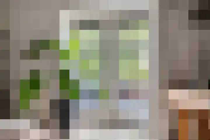 Pottenbakkerstraat 77 Zwolle thumbnail 5