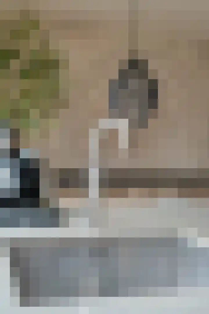 Pottenbakkerstraat 77 Zwolle thumbnail 8