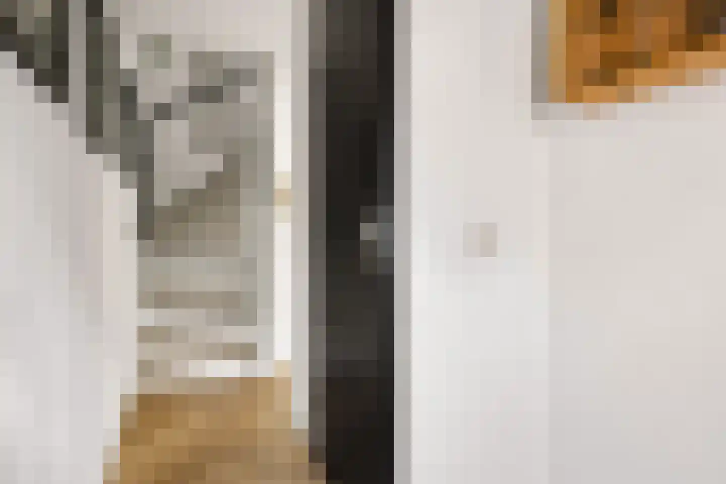 Pottenbakkerstraat 81 Zwolle thumbnail 14