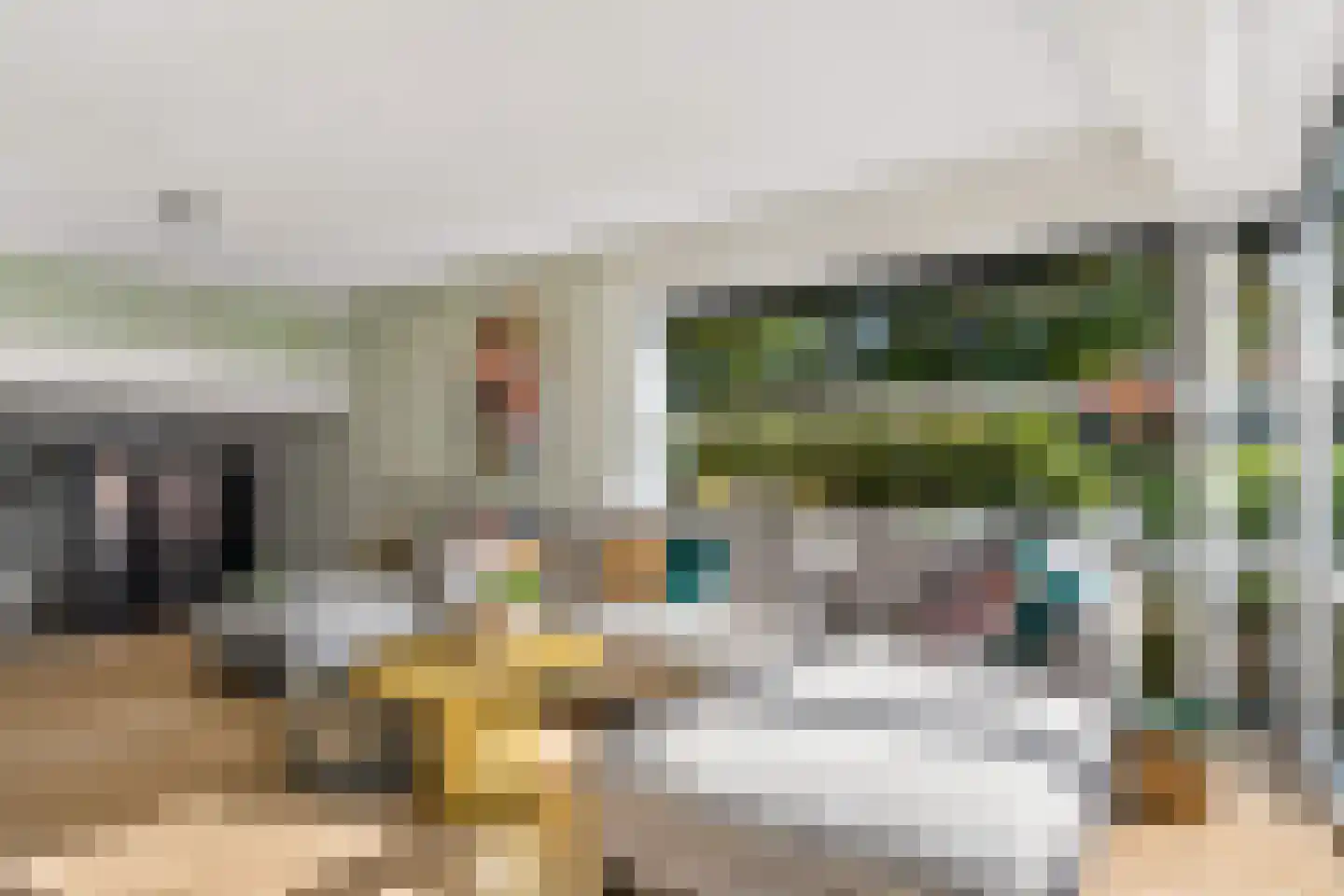 Pottenbakkerstraat 81 Zwolle thumbnail 17