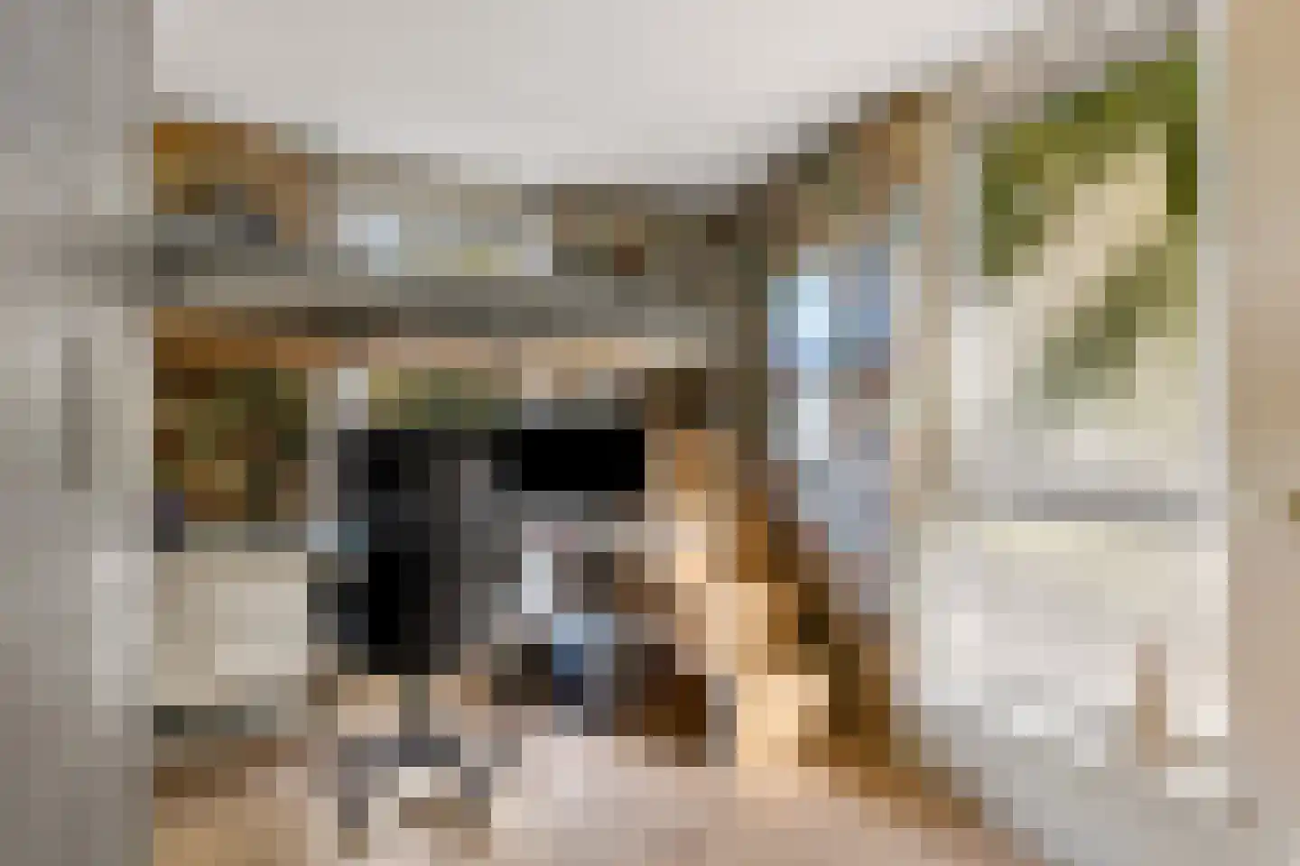 Pottenbakkerstraat 81 Zwolle thumbnail 30