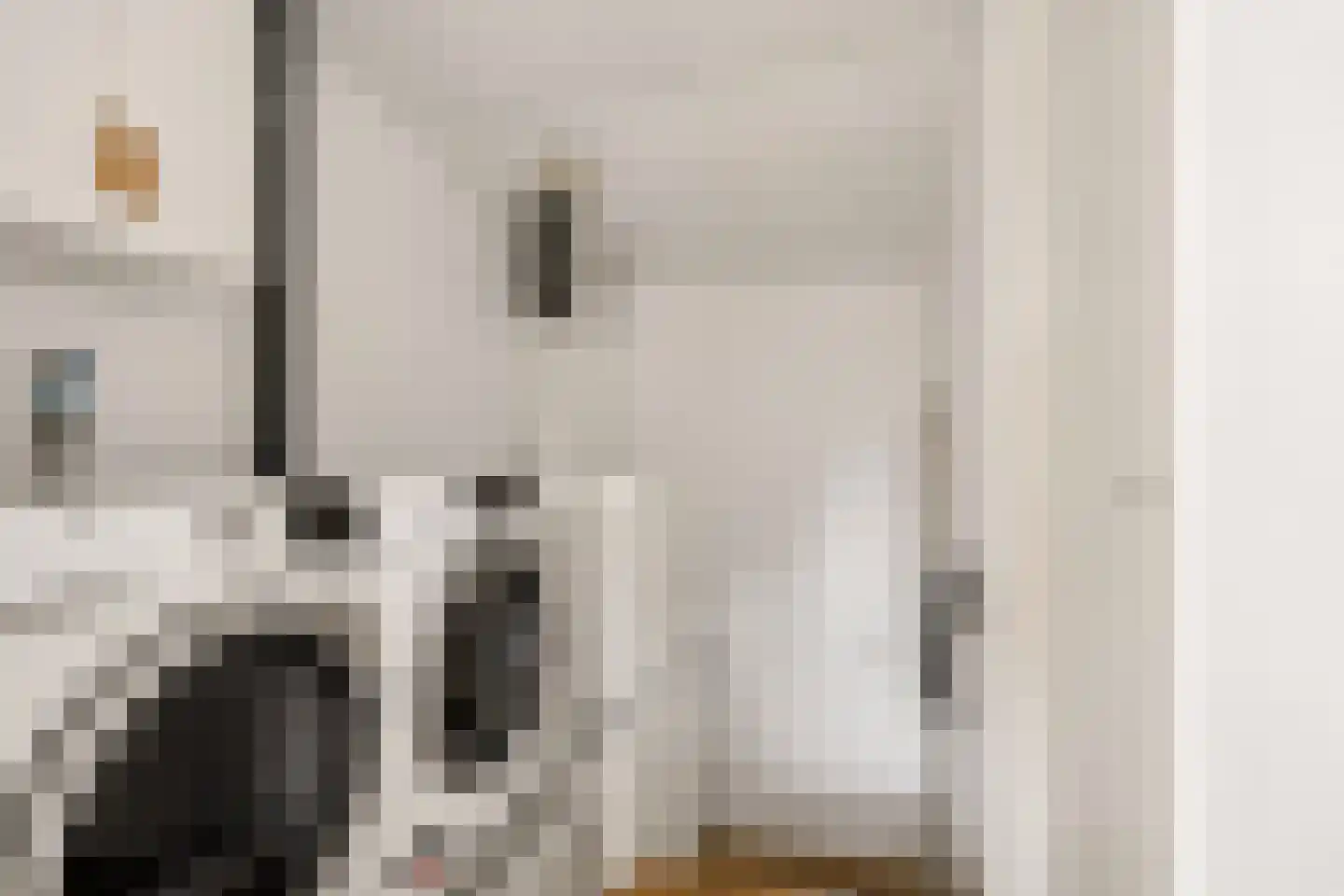Pottenbakkerstraat 81 Zwolle thumbnail 39