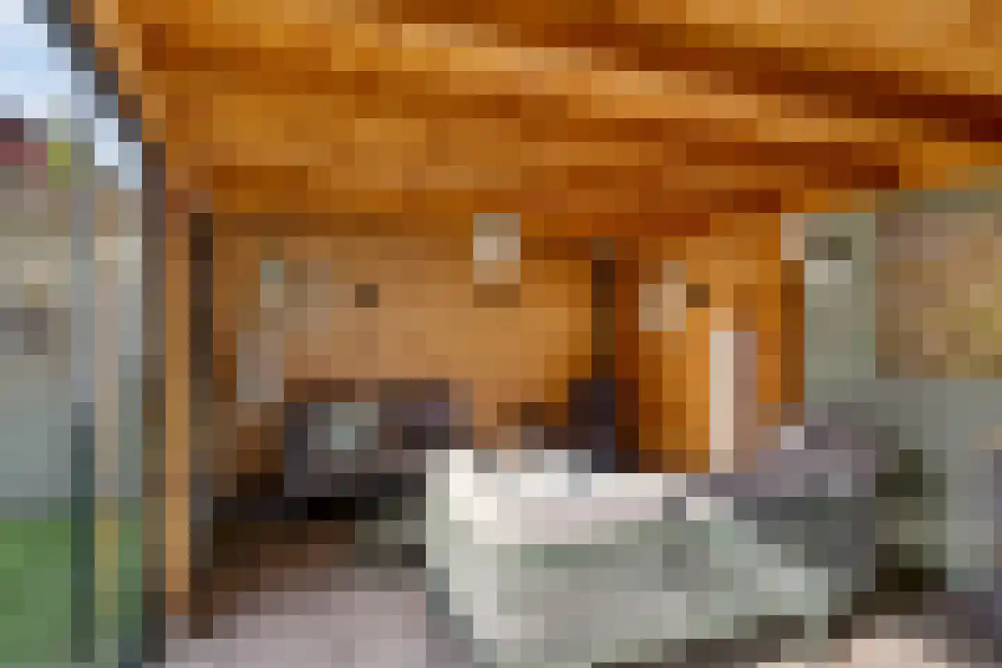 Pottenbakkerstraat 81 Zwolle thumbnail 55