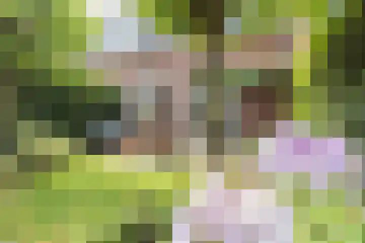 Pottenbakkersveste 6 Arnhem thumbnail 16