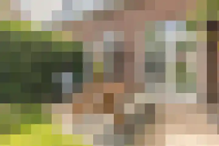 Pottenbakkersveste 6 Arnhem thumbnail 17