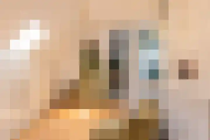 Pottenbakkersveste 6 Arnhem thumbnail 22